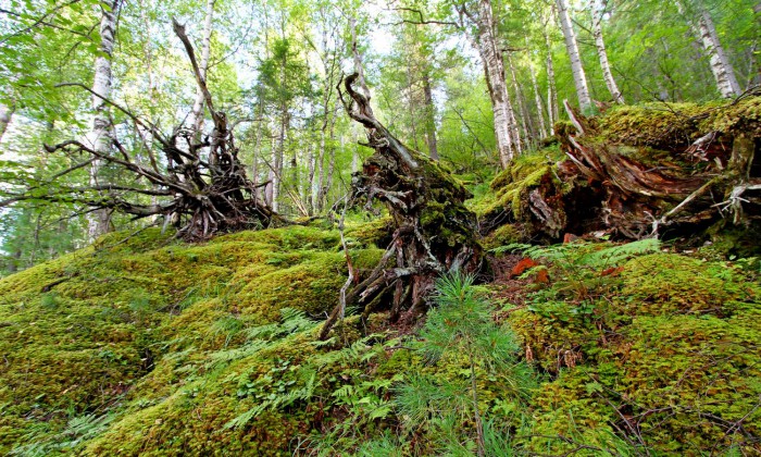 Image00003.jpg