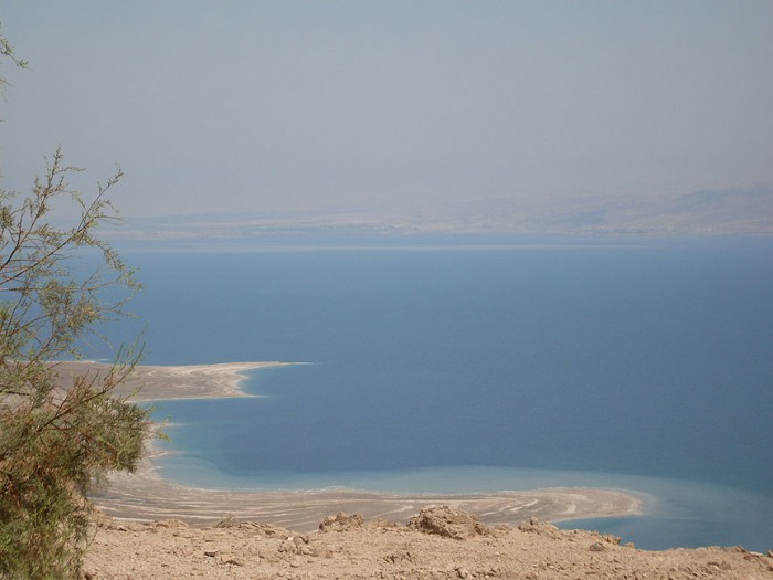 SDC10246sm.jpg