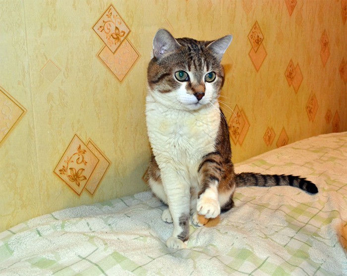 06.JPG