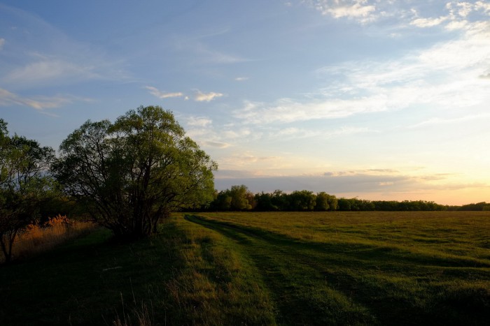DSCF4680.JPG