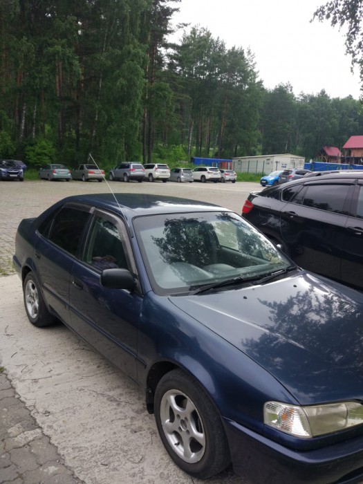 IMG-20190629-WA0006.jpg