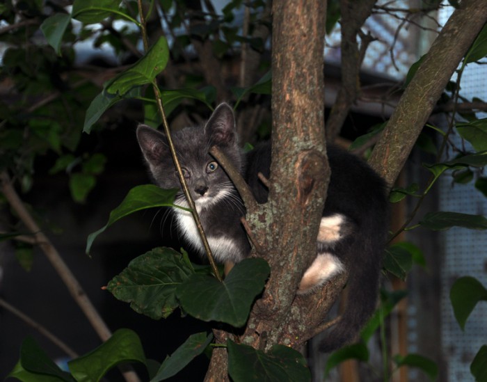 DSC_2723.jpg