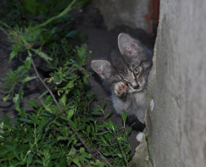 DSC_2752.jpg