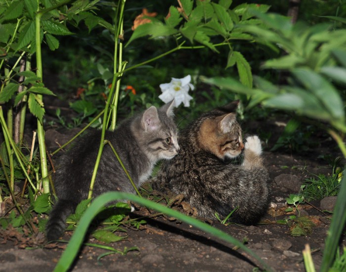 DSC_3045.jpg