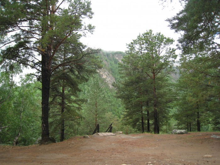 Алла 06.jpg