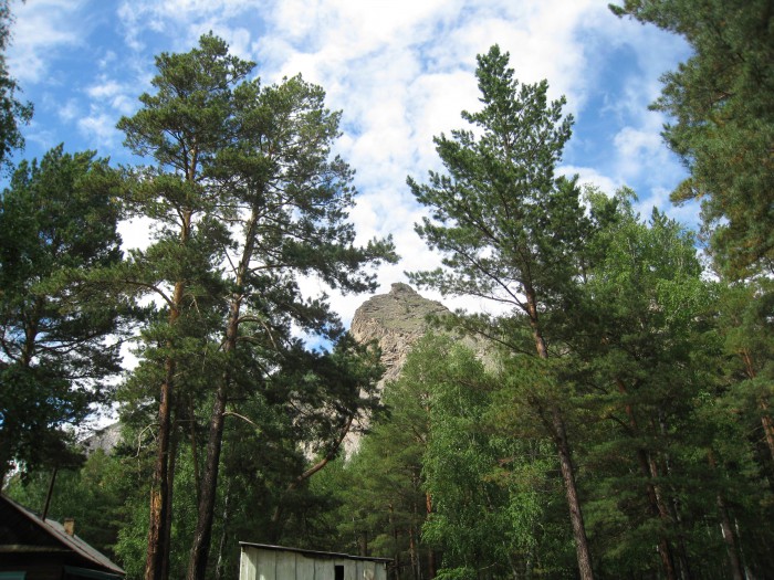Алла 08.jpg